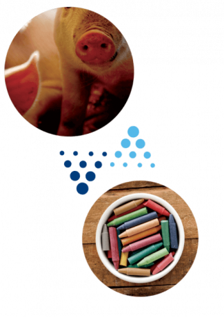 Sanimax, proud to transform it all