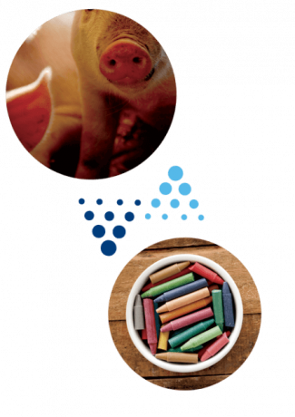 Sanimax, proud to transform it all